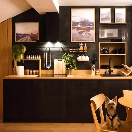 Nad Czarnym Potokiem Apartmán Krynica-Zdrój